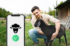 Asset tracking and service app for Android and iOS IoT service app for asset tracking