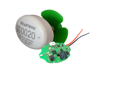 Smart tag with BT or 815 MHz radio signal Smart tag with BT or 815 MHz
